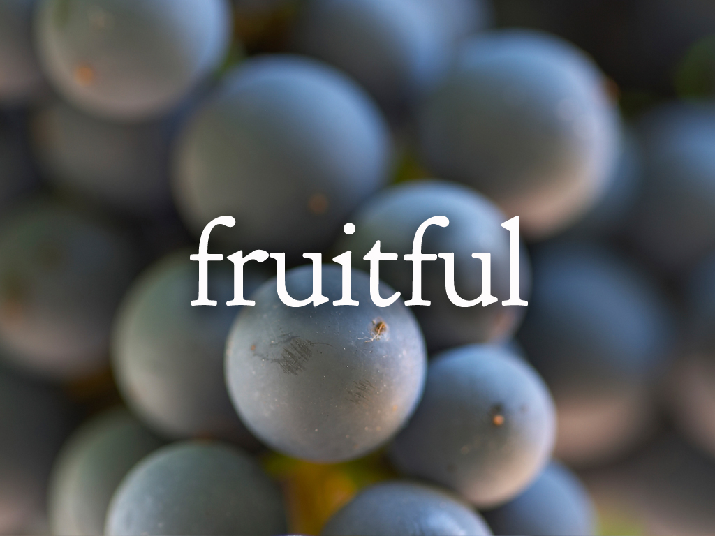 Fruitfulness Image